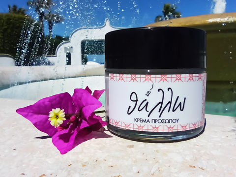 24h Face Cream 24h Face Cream