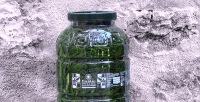 Pickled Rock Samphire Photo 