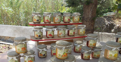 Homemade jams