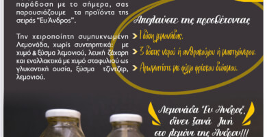 ΛΕΜΟΝΙ ΑΝΔΡΟΥ ΕΕ Φωτογραφία 2