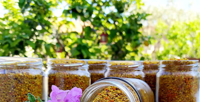 ΜΕΛΙΣΥΡΟΣ Φωτογραφία 1