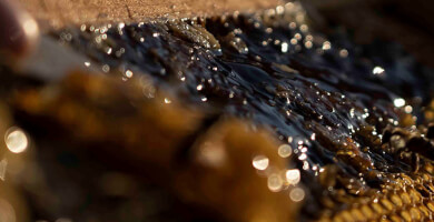 ΜΕΛΙΣΥΡΟΣ Φωτογραφία 2