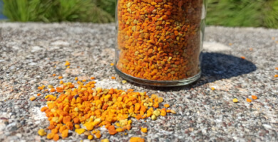 Polyflora Fresh Pollen